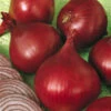 Red Wing Onion -Annual Plants Shop Redwing Onion Plant M