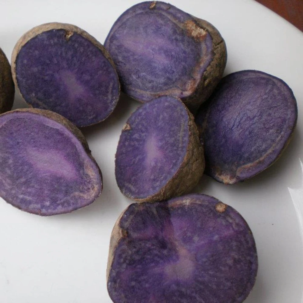 All Blue Potato 3 All Blue Potato