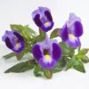Indigo Moon Torenia