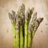 Jersey Supreme Asparagus Plant - 2-3 Year Crowns - 10-Pack -Annual Plants Shop jersey supreme asparagus plant 730 detail