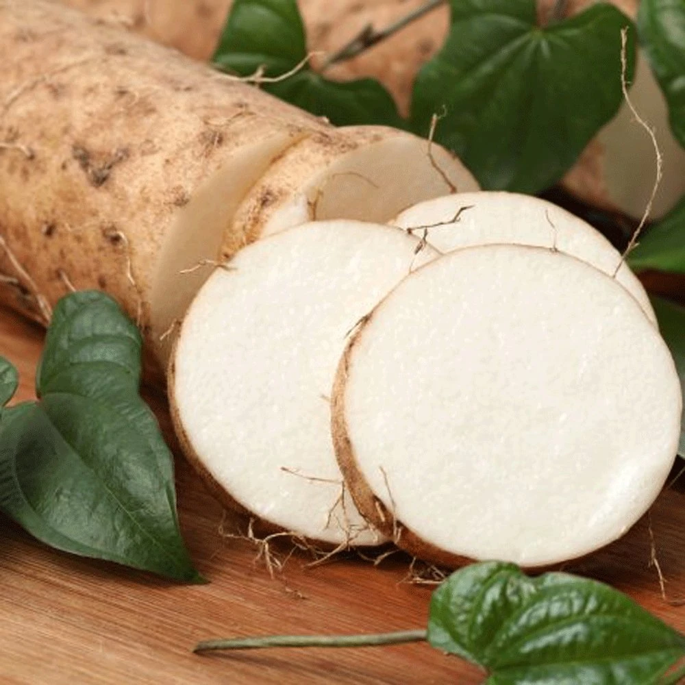 White Yam Sweet Potato 3 White Yam Sweet Potato